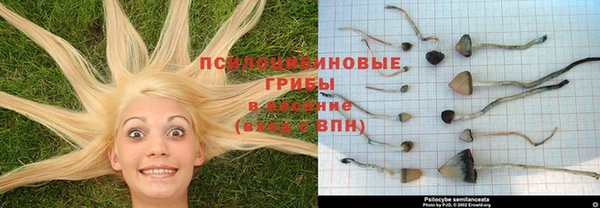 MESCALINE Аксай